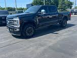Ford F-250 Super Duty Platinum Crew Cab 4WD